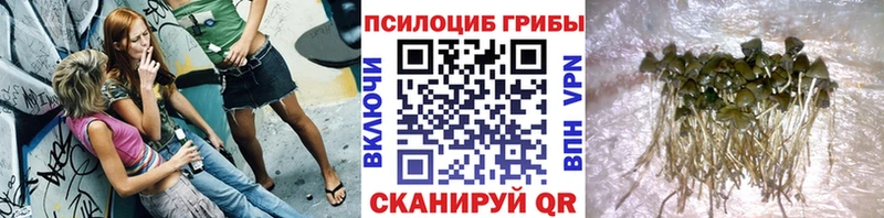 маркетплейс какой сайт Чаплыгин Псилоцибиновые грибы прущие грибы